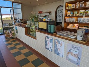 Cute decor at Five Seventh - 칠분의 오  in Jeju