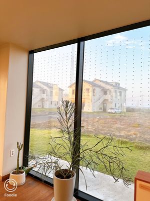   at Five Seventh - 칠분의 오  in Jeju