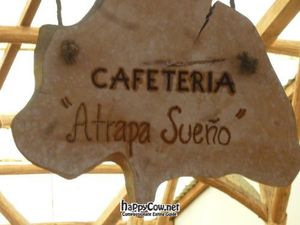  at Atrapasuenos - Comida Vegetariana Te Cafe in Campeche