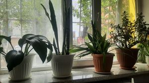  at Loving Hut - Tsagaan Khaalga in Ulaanbaatar