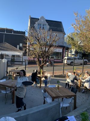 Beautiful garden!  at We Cafe - Maybe closed in Cape Town