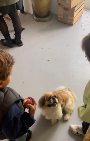  at We Cafe - Maybe closed in Cape Town