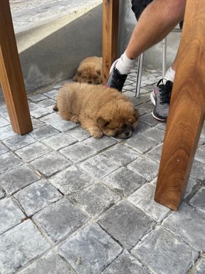  at We Cafe - Maybe closed in Cape Town