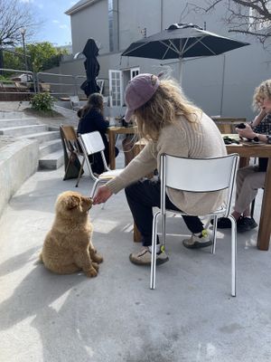   at We Cafe - Maybe closed in Cape Town