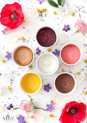  at Valis Fleurbet in Nice