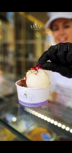  at Valis Fleurbet in Nice