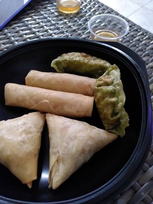 Samosa, nem and ravioli at SOKDI - Plats Asiatiques Végétariens in Narbonne
