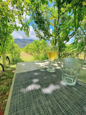   at The Barrels-Te Fuçitë in Gjirokaster