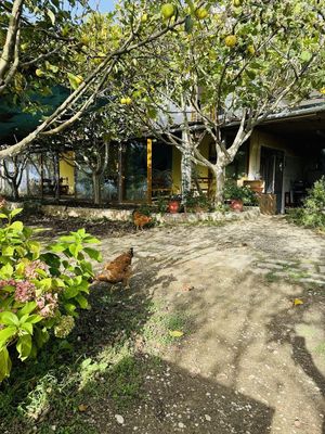  at The Barrels-Te Fuçitë in Gjirokaster
