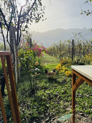  at The Barrels-Te Fuçitë in Gjirokaster