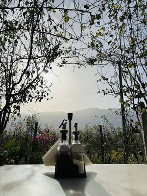  at The Barrels-Te Fuçitë in Gjirokaster