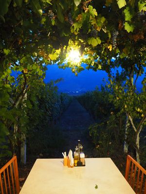   at The Barrels-Te Fuçitë in Gjirokaster