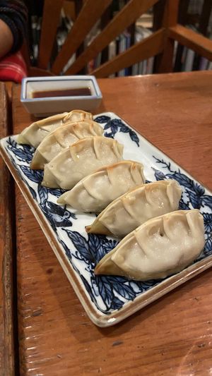 Soy meat gyoza   at Mominoki House in Tokyo