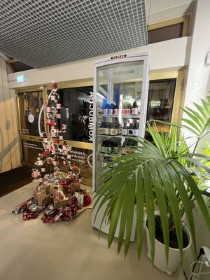   at Aquela Kombucha in Porto