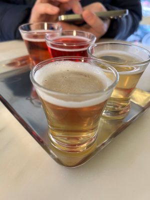 Tasting board. 5 flavours 5euro  at Aquela Kombucha in Porto