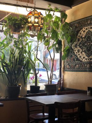 Cozy casual atmosphere  at Mamouns Falafel in New Haven