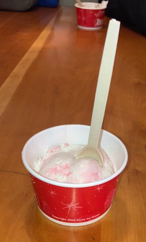 Peppermint vegan ice cream. at Purity Ice Cream in Ithaca