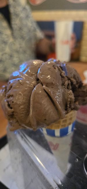 1 Scoop Vegan, Sugar cone, Vegan Chocolate Chunk gf at Purity Ice Cream in Ithaca