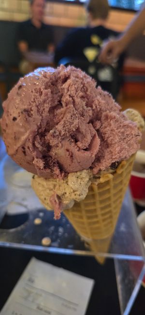 2 Scoop, Vegan, Waffle Cone, Vegan Mint Choc Chunk gf, Vegan Wild Berry at Purity Ice Cream in Ithaca