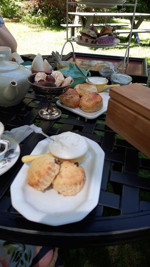  at Timboektoe Theetuin in Coevorden