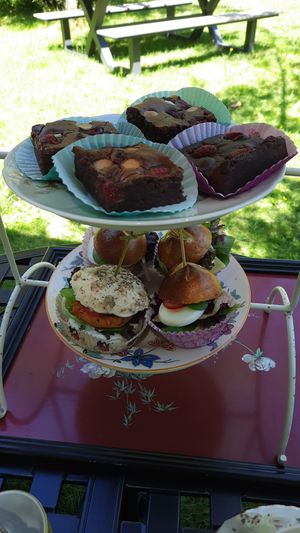  at Timboektoe Theetuin in Coevorden