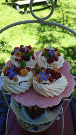  at Timboektoe Theetuin in Coevorden