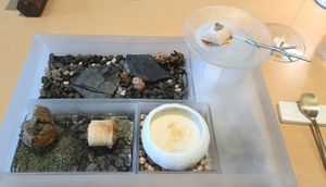 1st course: "little forest" at Forest Kitchen 포리스트 키친 in Seoul