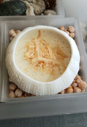 white asparagus soup with macadamia (part of Little Forest) at Forest Kitchen 포리스트 키친 in Seoul