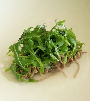 Minari at Forest Kitchen 포리스트 키친 in Seoul