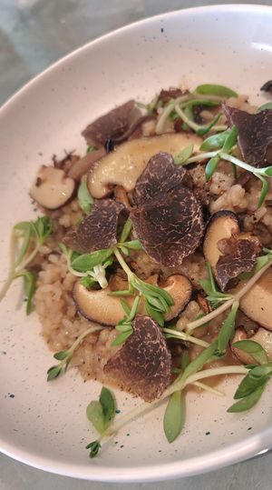 New menu: Truffle Risotto at Forest Kitchen 포리스트 키친 in Seoul