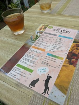  at Nini's Homemade Vegan in Chiang Mai