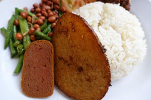 Nasi Lemak (coconut rice with mock fish otah) at Vegetarian Villas 素雅轩 in West Singapore