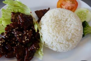 Mock Pork Rib rice at Vegetarian Villas 素雅轩 in West Singapore