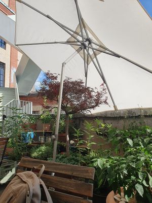 Balcony at Cantina don Camillo in Basel