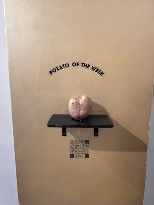   at FÆNCY FRIES in Prague