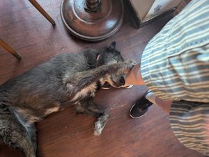  at Mitara Cafe & Art in Istanbul