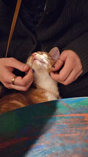  at Mitara Cafe & Art in Istanbul