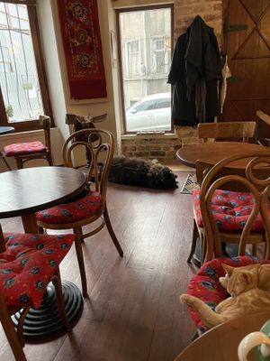   at Mitara Cafe & Art in Istanbul