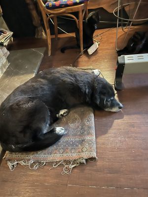   at Mitara Cafe & Art in Istanbul