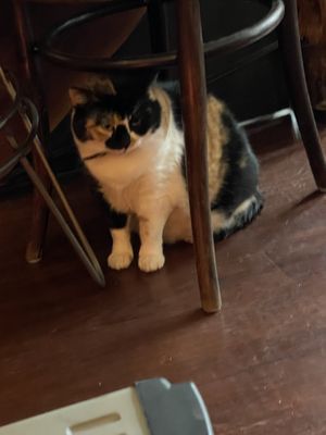   at Mitara Cafe & Art in Istanbul