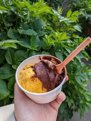 Chocolate and mango ice cream 🍨 at EisEngel Köln in Cologne