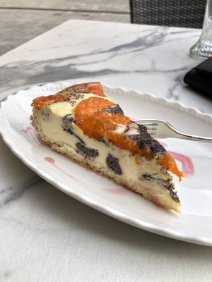 vegan cheesecake with poppy seed and mandarins   at Manuto Café in Tuttlingen