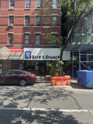   at Bird & Branch in New York City