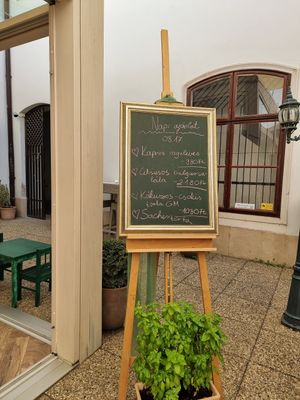 Daily menu at Bojtorina Vegan Kitchen in Sopron