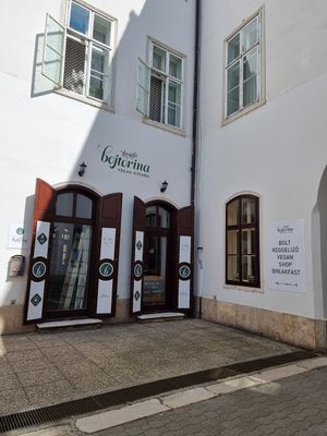 Street view at Bojtorina Vegan Kitchen in Sopron