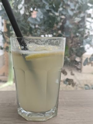  at Bojtorina Vegan Kitchen in Sopron