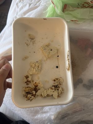   at Snooze in Nashville