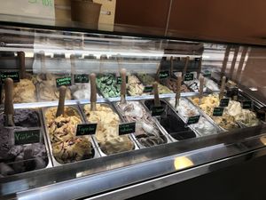   at Madonna Vegan in Barcelona