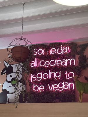 Vegan ice cream  at Madonna Vegan in Barcelona