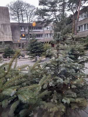  at Restoranas „grás“ in Palanga